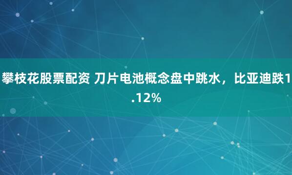 攀枝花股票配资 刀片电池概念盘中跳水，比亚迪跌1.12%