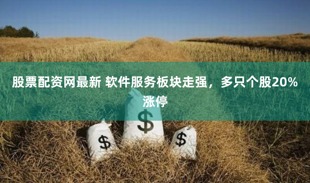 股票配资网最新 软件服务板块走强，多只个股20%涨停