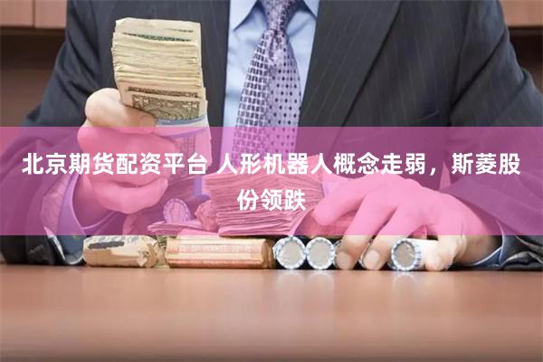 北京期货配资平台 人形机器人概念走弱，斯菱股份领跌
