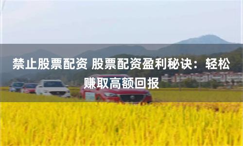 禁止股票配资 股票配资盈利秘诀：轻松赚取高额回报