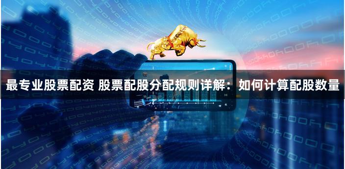 最专业股票配资 股票配股分配规则详解：如何计算配股数量