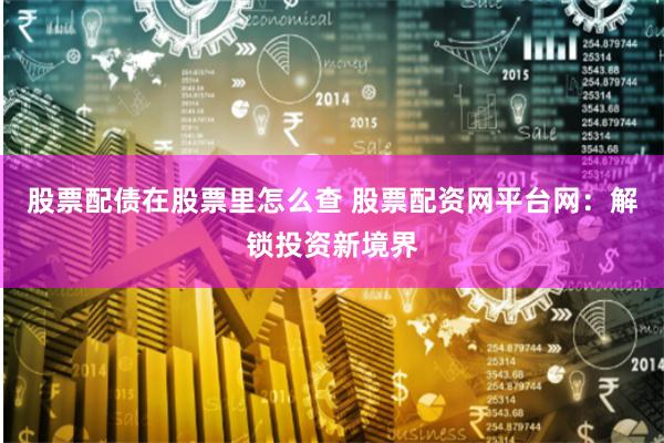 股票配债在股票里怎么查 股票配资网平台网：解锁投资新境界