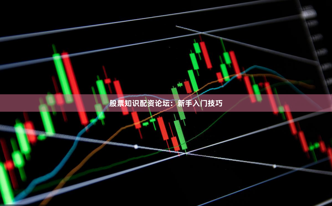 股票知识配资论坛：新手入门技巧